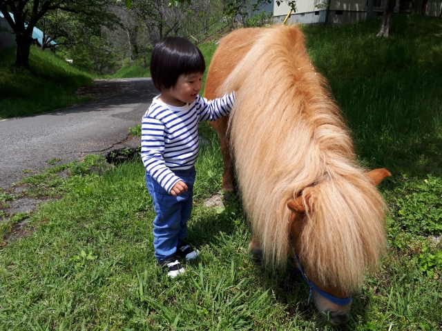 乗馬は何歳から始められる？